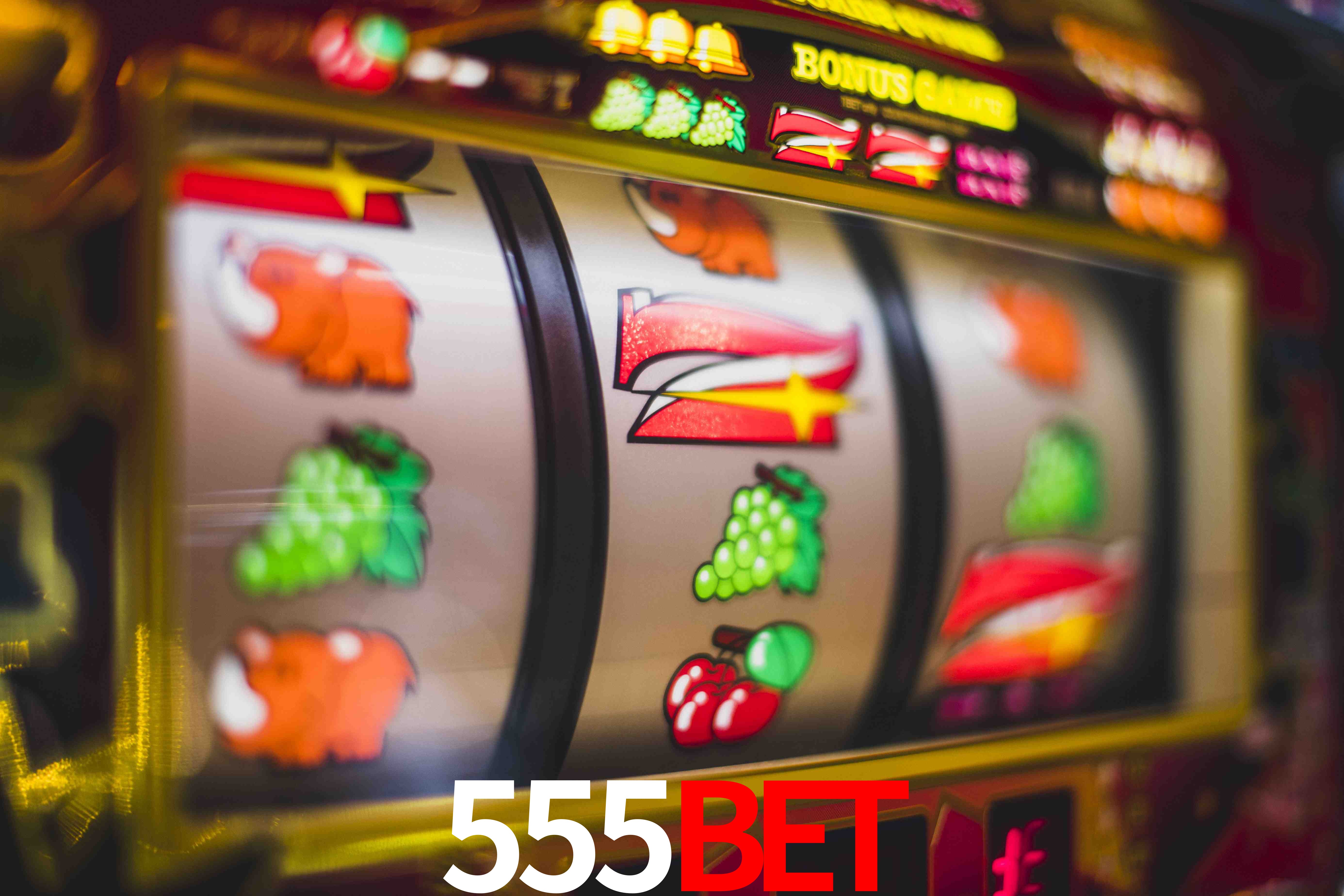 Secure Login 555Bet